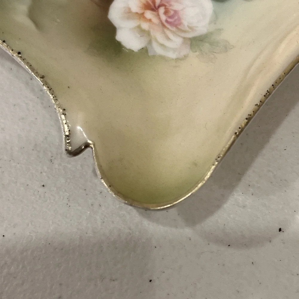 Antique RS GERMANY Odd Corners Shallow Bowl or Nut Dish, Handpainted CARNATIONS